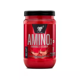 BSN Amino X Endurance & Recovery Fruit Punch 15.3 oz (435 g)