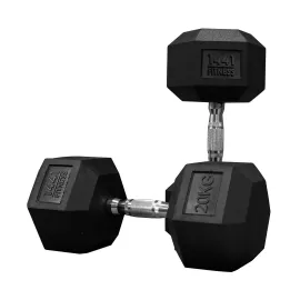 1441 Fitness Rubber Hex Dumbbells (20 Kg) â€“ Solid Cast Iron Core Rubber Coated Head Dumbbell Weights for Exercises at Home and Commercial Gym