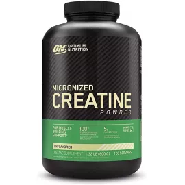 Optimum Nutrition Micronized Creatine Powder Unflavored 600g