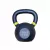 1441 Fitness Powder Coated Cast Iron KettleBell - 16 Kg