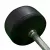 1441 Fitness Body Pump Curl Barbell Weight - 30 Kg