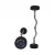 1441 Fitness Body Pump Curl Barbell Weight - 20 Kg
