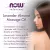 Now Solutions Lavender Almond Massage Oil 16 fl oz. / 473 ml