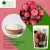 Bliss of Earth LYCHEE (litchi) Powder Vitamin C Rich Immunity Booster Great for Lychee Juice Jelly Syrup and  Baking 200g