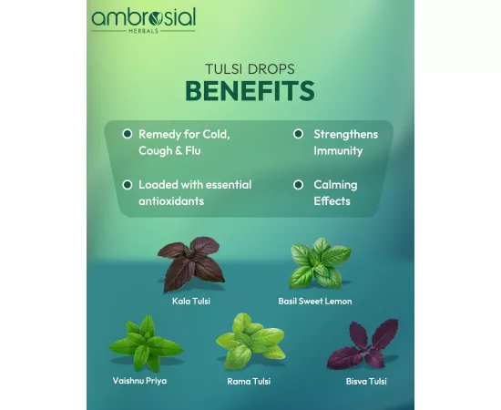  نقاط التولسي من أمبروسيال 30مللي  