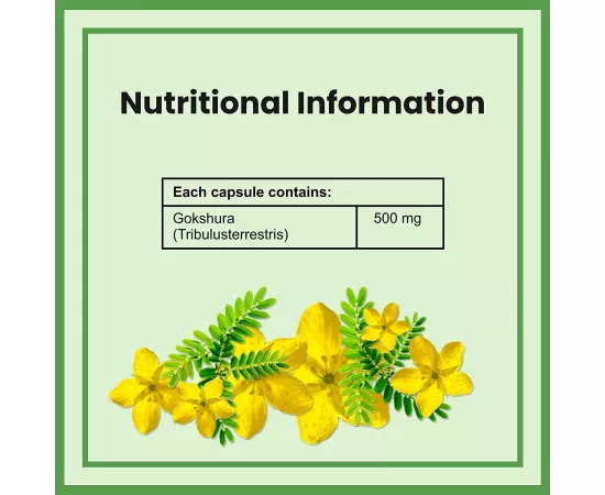 Ambrosial Gokshura 500 mg Capsules 60's