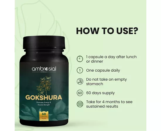  كبسولات جوكشورا بتركيز 500 مللي جرام من أمبروسيال 2 علبة