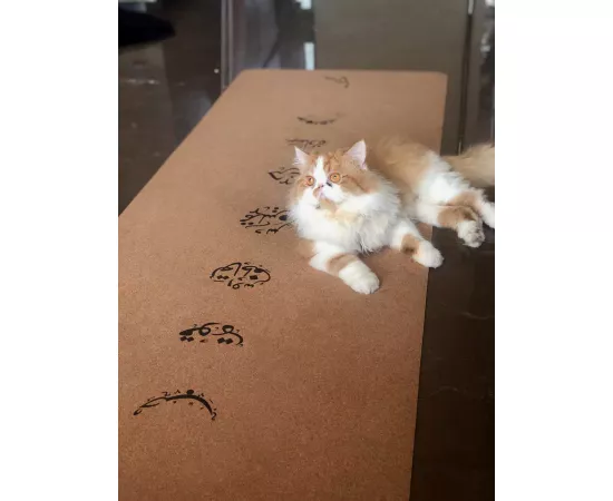 Meow Yoga Moon Mat Cork
