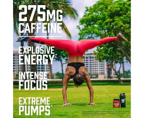 BSN N.O.-Xplode Legendary Pre-Workout Fruit Punch 1.22 lbs (555 g)