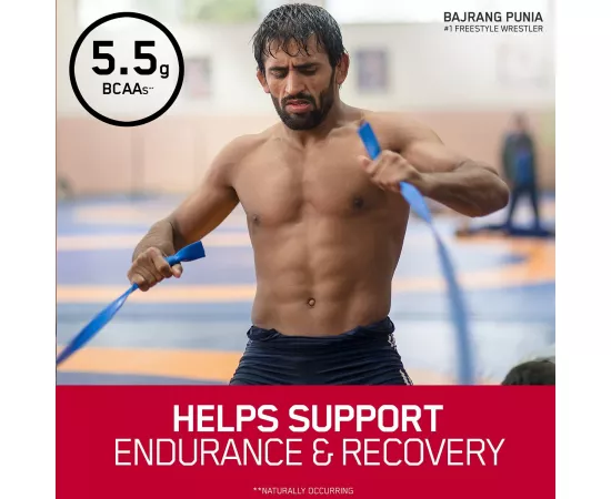 مسحوق واي بروتين جولد ستاندرد 100% بنكهة إكستريم شوكولاتة الحليب من أوبتيموم نيوتريشن  رطل2 