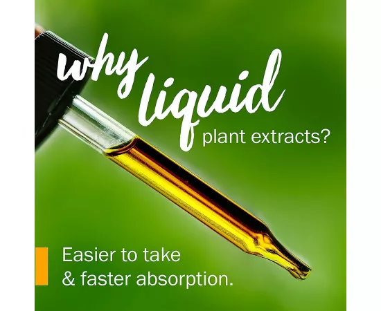  الأشواجاندا جليسيريت من هيرب فارم 2 أوقية