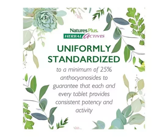 انثوسيانوزايدز بيلبيري بتركيز 100 مللي جرام 25% من ناتشرز بلس هيربال أكتيفز  30