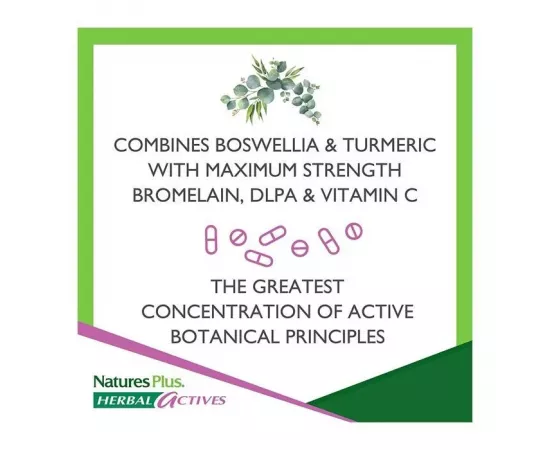  إنفلاماكتين من ناتشرز بلس 60