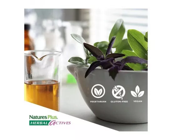  إنفلاماكتين من ناتشرز بلس 60