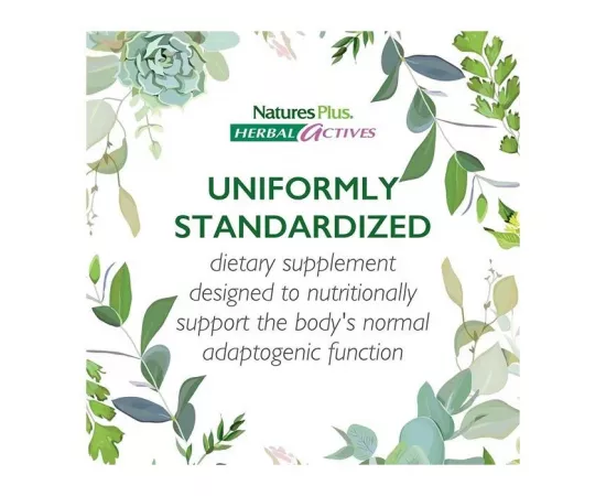  إنفلاماكتين من ناتشرز بلس 60