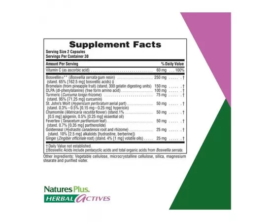  إنفلاماكتين من ناتشرز بلس 60