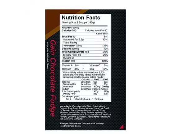 Rule1 Gain Chocolate Fudge 10 lb