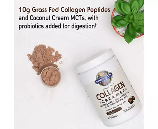 كريمر الكولاجين  -تغذية نباتية- بنكهة الشوكولاتة من جاردن أوف لايف   12.06 أوقية (342 جرام)