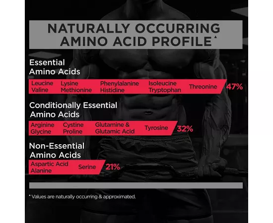 جاين كوكيز آند كريم  16 حصة من آر1  5.00رطل