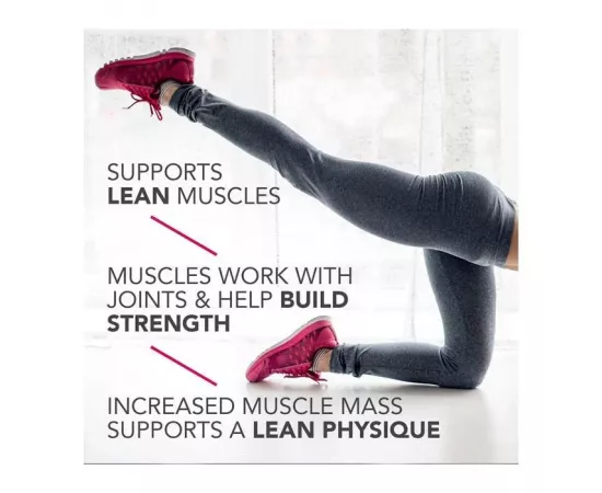 بيور  35جرام بروتين شيك الفانيليا كريم  325 مللي