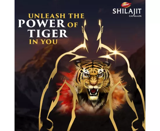 Dabur Shilajit Capsules |Shilajeet |Increases Strength, Stamina & Power|Supports Vigor & Vitality|Improves Muscle Strength & Repair|Supports Body Building|Natural Fulvic Acid|Immunity | 30s