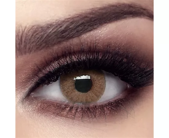 بيلا إيليت عسل بري بلانو