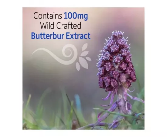 Garden Of Life Herbal Immune Balance Sinus Vegetarian Capsules 60's