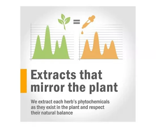 الأشواجاندا للطاقة و الحيوية من هيرب فارم  1 أوقية