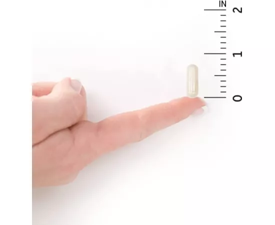 Garden Of Life Vitamin Code Raw Calcium Vegetarian Capsules 60's