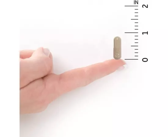 فيتامين كود الحديد من جاردن أوف لايف جول 30