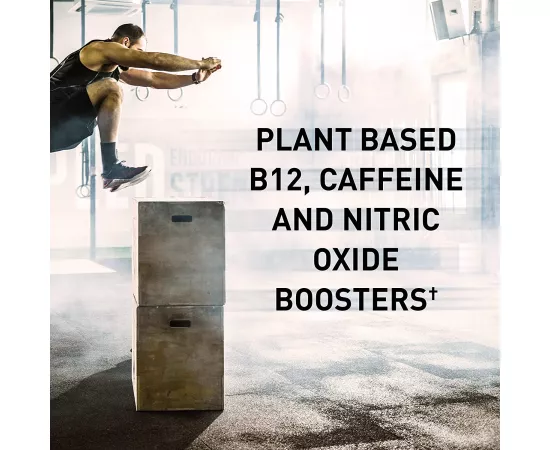  إنيرجي بلس فوكس الرياضي العضوي من جاردن أوف لايف جول  بلون أسودالتوت 15.3أوقية