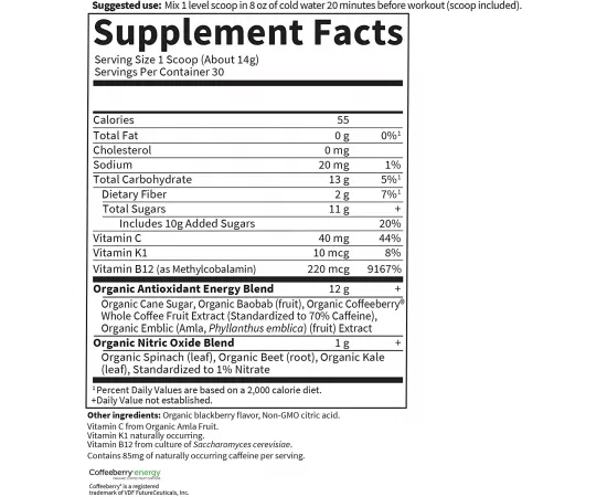  إنيرجي بلس فوكس الرياضي العضوي من جاردن أوف لايف جول  بلون أسودالتوت 15.3أوقية