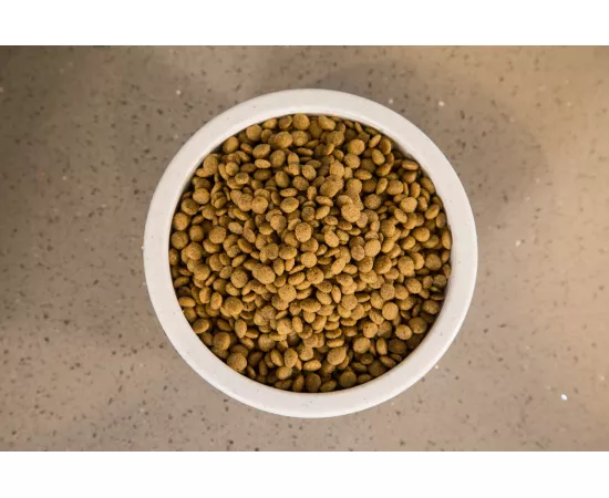 V-PLANET Mini Bites Kibble Vegan Dog Food for Mini & Small Breeds 2.4 kg