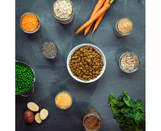 طعام نباتي للكلاب كيبيل حجم متوسط للفصائل الكبيرة من في-بلانيت