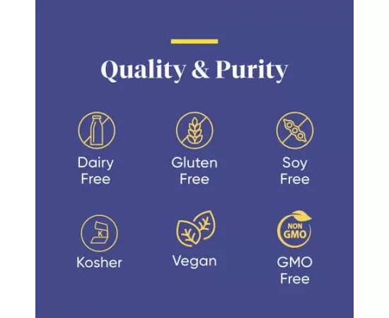 لاكتو إنزيمديكا 30 كبسولة