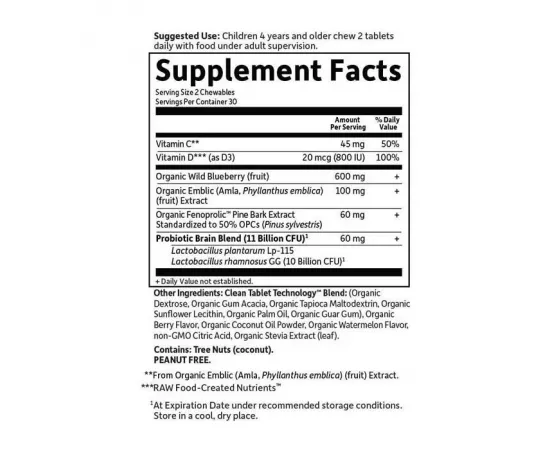 Garden of Life Dr. Formulated Brain Health Attention & Focus for Kids Watermelon Berry Flavor Chewables 60's