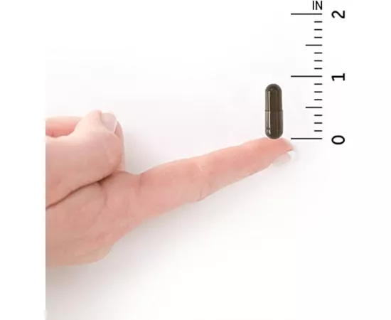 Garden of Life Primal Defense Ultra Ultimate Probiotic Dietary Supplement for Digestive and Gut Health Vegetarian Capsules 60's