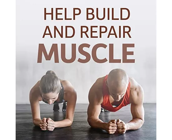 Garden of Life Raw Organic Protein Chocolate 23.28 oz(660g)