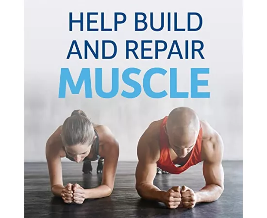 Garden Of Life Raw Organic Protein Vanilla 21.86 oz(620g)