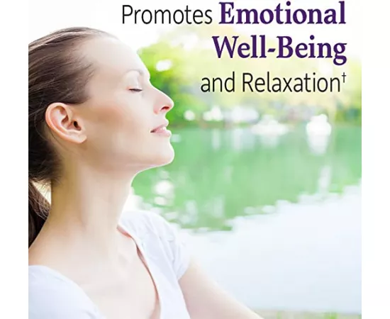 Garden of Life Dr. Formulated Probiotics Mood+ Vegetarian Capsules 60's