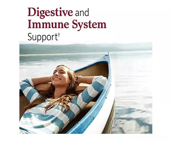 Garden of Life Dr. Formulated Probiotics Urinary Tract Plus Vegetarian Capsules 60's