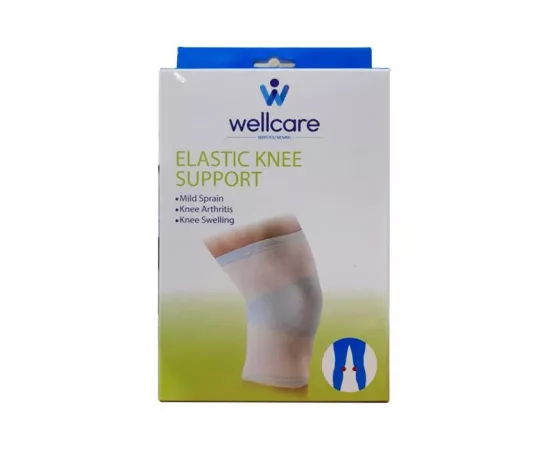 Well care Knee Brace - Large