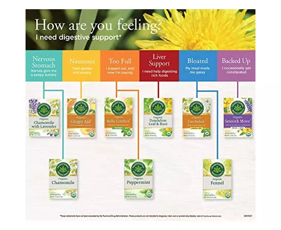 Traditional Medicinals Ginger Aid Tea Bags 16's