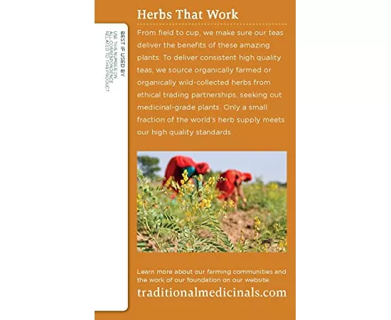 Traditional Medicinals Ginger Aid Tea Bags 16's