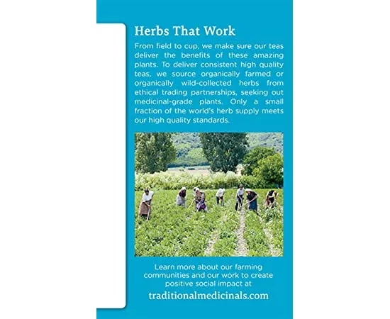 Traditional Medicinals Organic Every Day Detox Lemon Herbal Tea Bags 16's(24g)