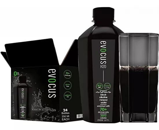 Evocus H2O Mineral Black Water 250 ml x 24