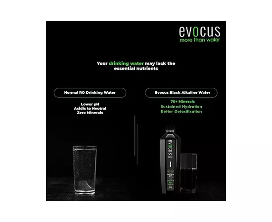 Evocus H20 Mineral Black Water 500ml x 24