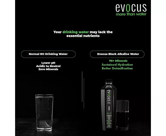 Evocus H2O Mineral Black Water 250 ml x 24