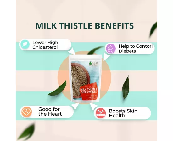 Bliss of Earth Milk Thistle Seeds Organic Super Food for Liver Cleansing, Immunity Booster Milk thistle Tea  200g