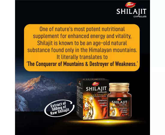 Dabur Shilajit Capsules |Increases Strength, Stamina & Power|Improves Muscle Strength & Repair|Supports Body Building|Natural Fulvic Acid|Immunity | 30's